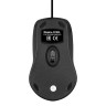 Мышь EXEGATE PROFESSIONAL STANDARD B100L EX298196RUS